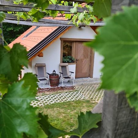 Zidanica Zagar Villa Dolenjske Toplice Bagian luar foto