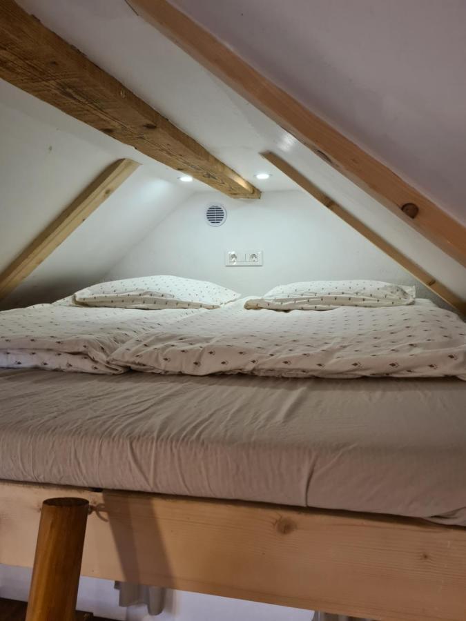 Zidanica Zagar Villa Dolenjske Toplice Bagian luar foto