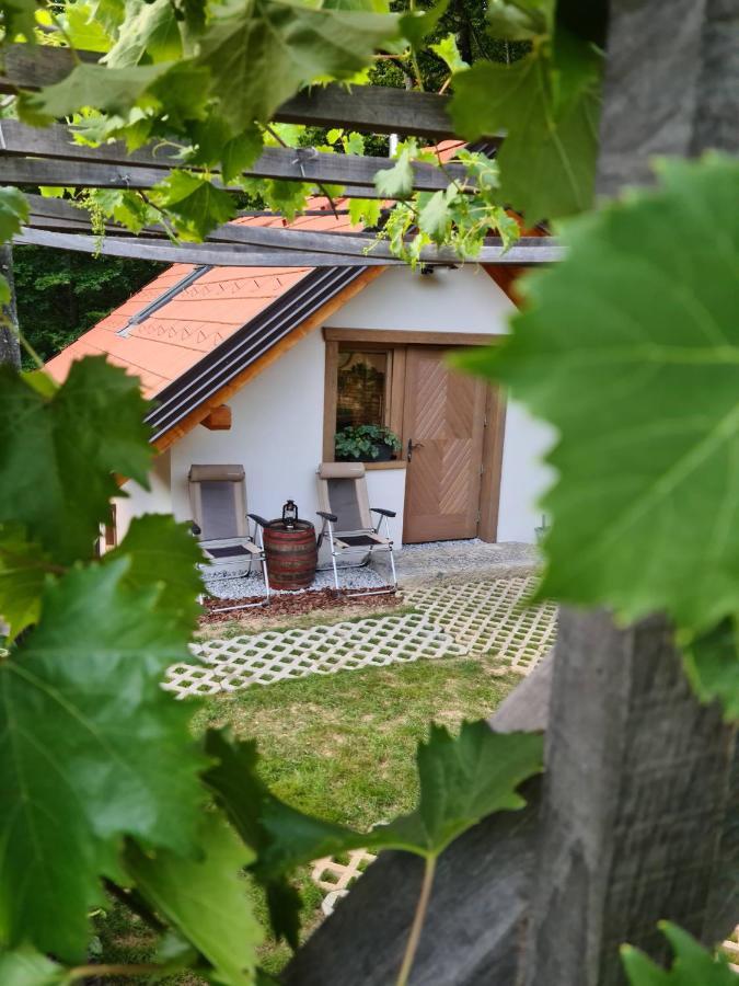 Zidanica Zagar Villa Dolenjske Toplice Bagian luar foto